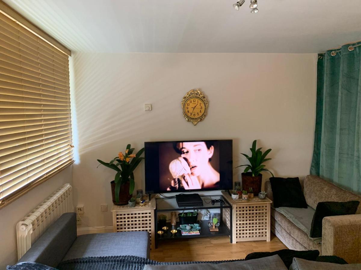 Garden Beautiful Cozy Flat , Recent Decorated. Londres