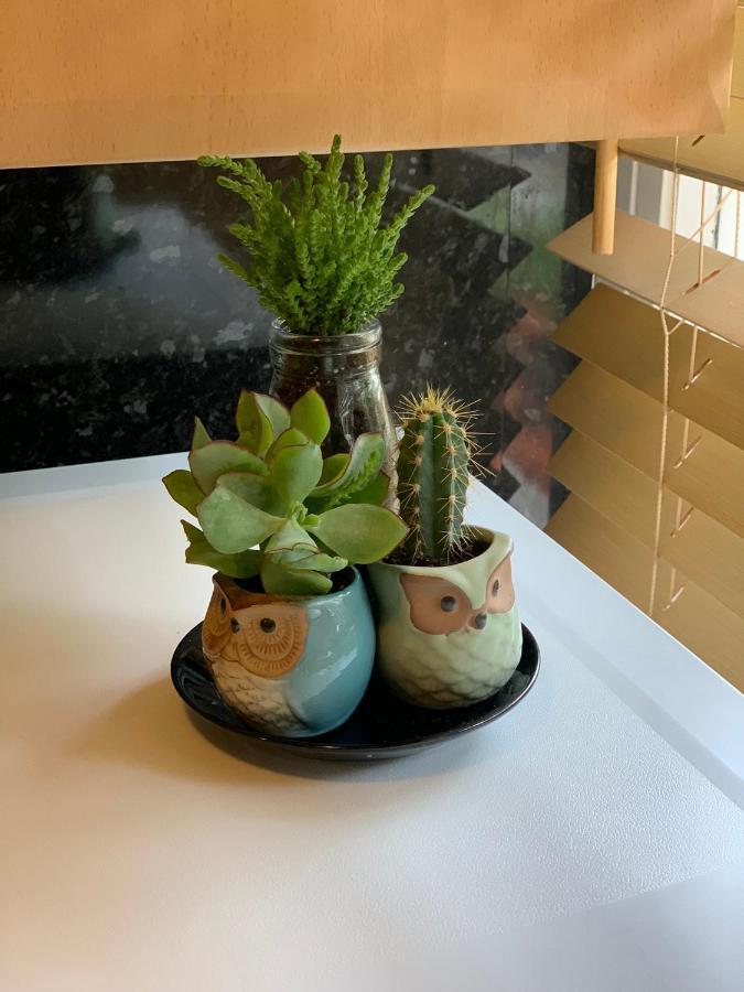 Garden Beautiful Cozy Flat , Recent Decorated. Apartamento *